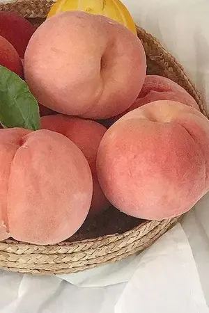 ปกนิยาย shortfic / Lé parfumé (markmin)