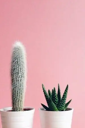 ปกนิยาย [OS/SF] Hoonyoung & All x jinyoung | #Cupcake