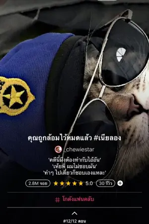 ปกนิยาย