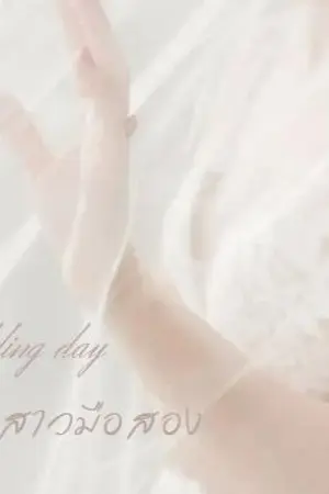 ปกนิยาย Wedding Day เจ้าสาวมือสอง