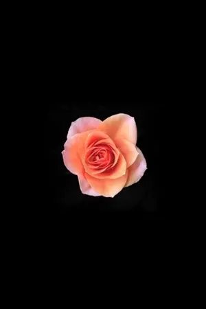 ปกนิยาย [SF?] Alive (Chaeyoung x Lalisa)