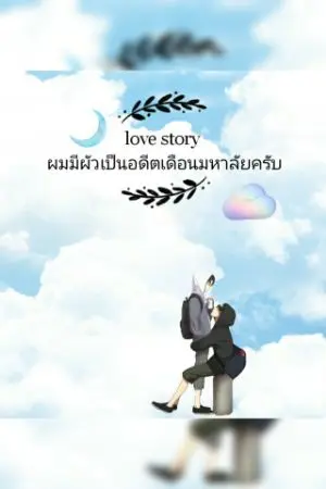 ปกนิยาย