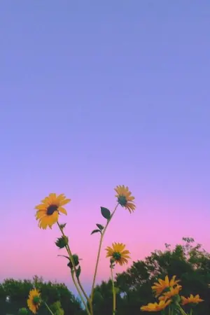 ปกนิยาย (not so) delicate : nct fanfic