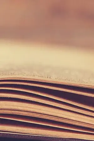 ปกนิยาย Our Secret minhyunbin