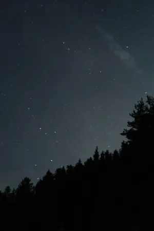 ปกนิยาย History Book