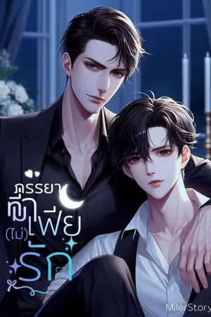 ปกนิยาย ภรรยาที่มาเฟีย(ไม่)รัก (Mpreg) เล่ม 1