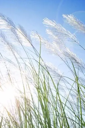 ปกนิยาย Taehyung's Story ✿ #KookV #แทฮยองซ้ำชั้น