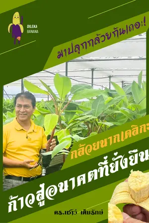 ปกนิยาย