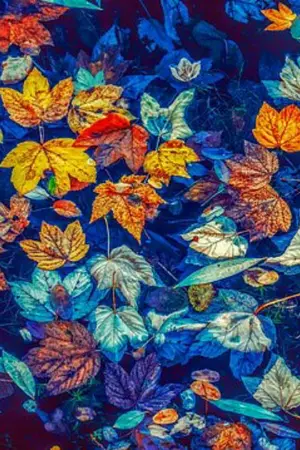 ปกนิยาย Zui Qiang Wu Shen - นิยายจีนแปล