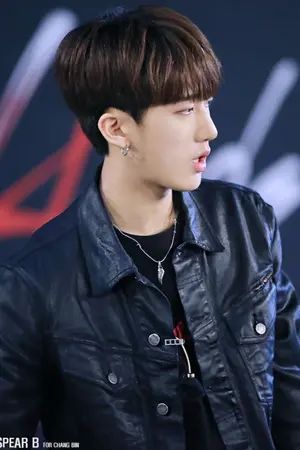 ปกนิยาย คลังฟิคชางชาง #AllChangbin  [StrayKids]