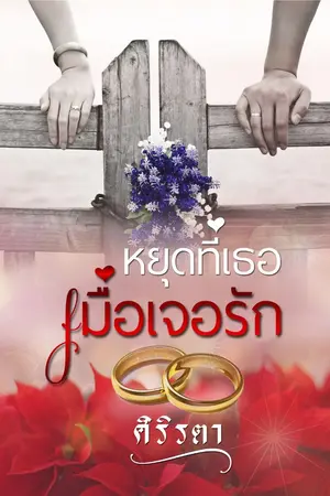 ปกนิยาย