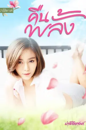 ปกนิยาย