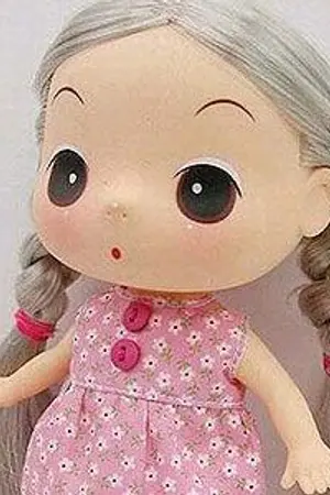 ปกนิยาย ท่านหญิงเก็บตก