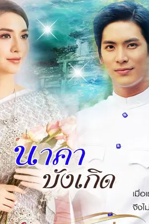 ปกนิยาย