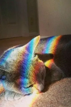 ปกนิยาย graymode ไปไกลๆจากผม