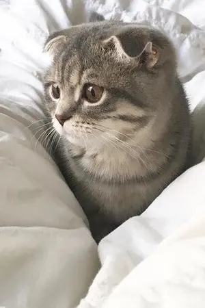 ปกนิยาย Beyond.