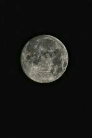 ปกนิยาย The moon ความเหงาบนดวงจันทร์ #ป๋อจ้าน