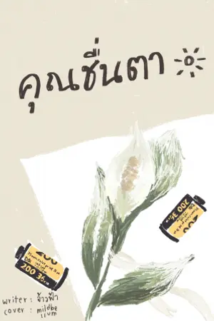 ปกนิยาย