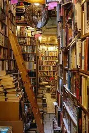 ปกนิยาย [ SF/OS ]  ร้านหนังสือใต้ต้นไม้   kookv minv allv