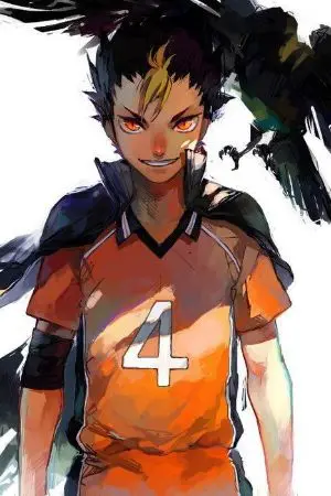 ปกนิยาย [Haikyuu!!!] oc & nishinoya (yaoi)