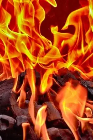 ปกนิยาย the maze of love (กลรักมาเฟีย) markbam