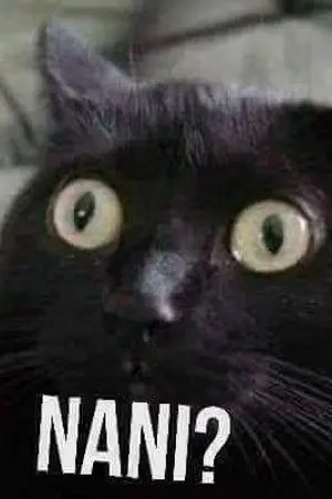 ปกนิยาย Untold Story of the (Ex)-Inw ― กำลังจะกลับมา!?