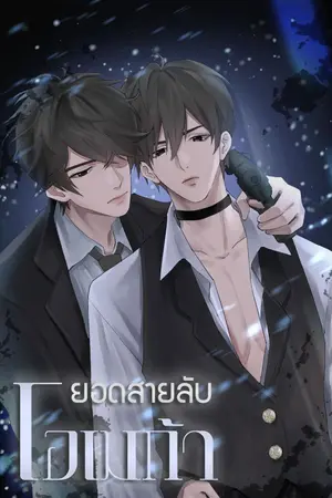 ปกนิยาย ยอดสายลับโอเมก้า