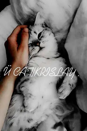 ปกนิยาย Ü CAT_