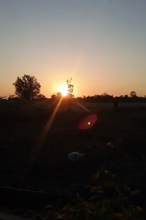 ปกนิยาย สวน ณ ต่างโลก