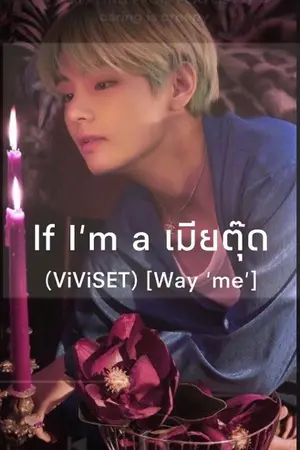 ปกนิยาย If' I'm a เมีย 'ตุ๊ด' 「Way "Me"」#(ViVi)SET