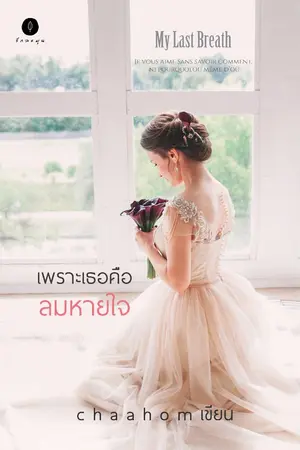 ปกนิยาย