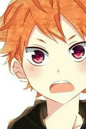 ปกนิยาย Haikyuu {Allhinata}