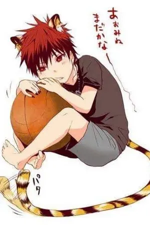 ปกนิยาย [Fic KNB] Kurokono Basuke allkaga (Yaoi)