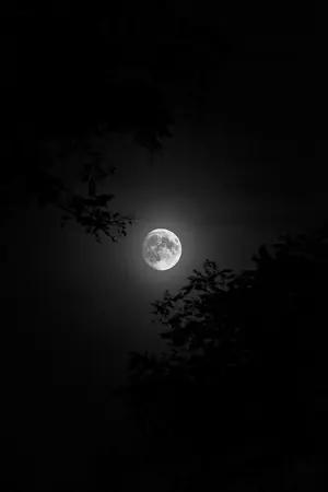 ปกนิยาย Full Moon l Minno