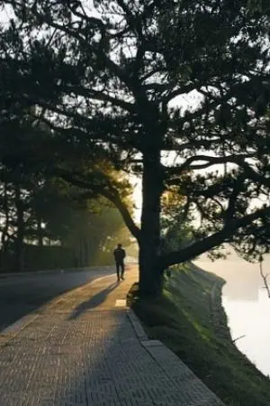 ปกนิยาย [GOT7] ลวงหลอกลวงรัก | Markbam