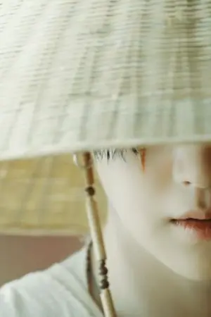 ปกนิยาย จอมยุทธ์ฟ้าทลายโจร