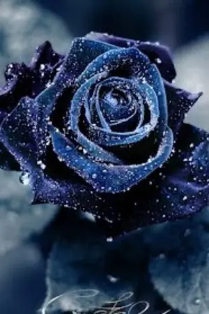 ปกนิยาย โอ้! ได้โปรดอย่ามายุ่งกับตัวประกอบ