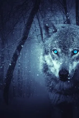 ปกนิยาย My Wolf. | nielong