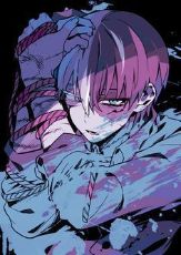 ปกนิยาย [ Boku no hero academia x oc ] SHOTO'S TWIN IS ME.. SS2