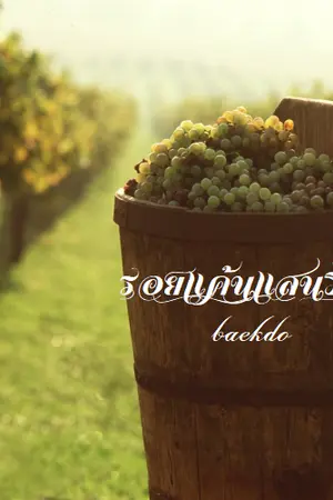 ปกนิยาย รอยแค้นแสนรัก -baekdo-