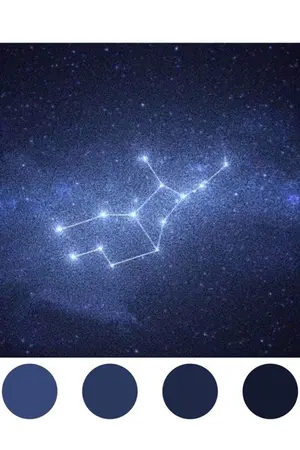 ปกนิยาย VIRGO  #จุดยืนที่กันยา