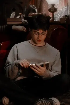 ปกนิยาย [Fic Harry Potter DM×HP] 🍞