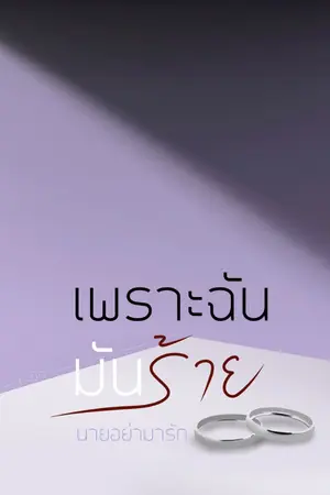 ปกนิยาย