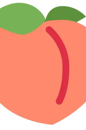 ปกนิยาย EXO | in the peach garden #ฟิคในสวนพีช