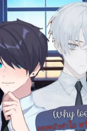 ปกนิยาย Why look at me? มองทำไม หวั่นไหวนะเว้ย!