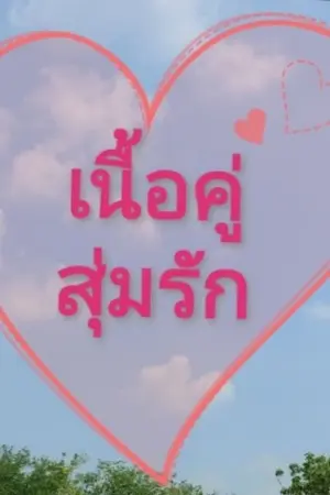ปกนิยาย เนื้อคู่สุ่มรัก