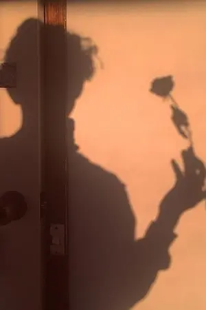 ปกนิยาย | แสงตะวัน |