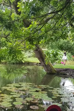 ปกนิยาย เล่าเรื่อง เรื่องเล่า ในวันหนึ่งที่อังกฤษ