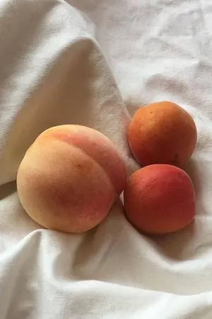 ปกนิยาย OS/SF COFFEE to the PEACH  (JohnJae)