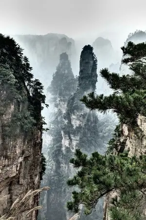 ปกนิยาย (รับสมัครตัวละคร) ZOHAR CAMP แคมป์มหัศจรรย์และนักเรียนเลือดผสม